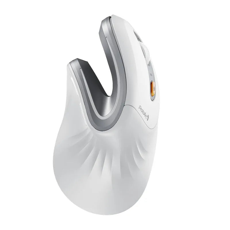 ProtoArc Ergonomic Mouse