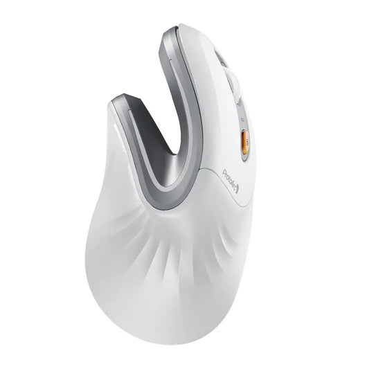 ProtoArc Ergonomic Mouse