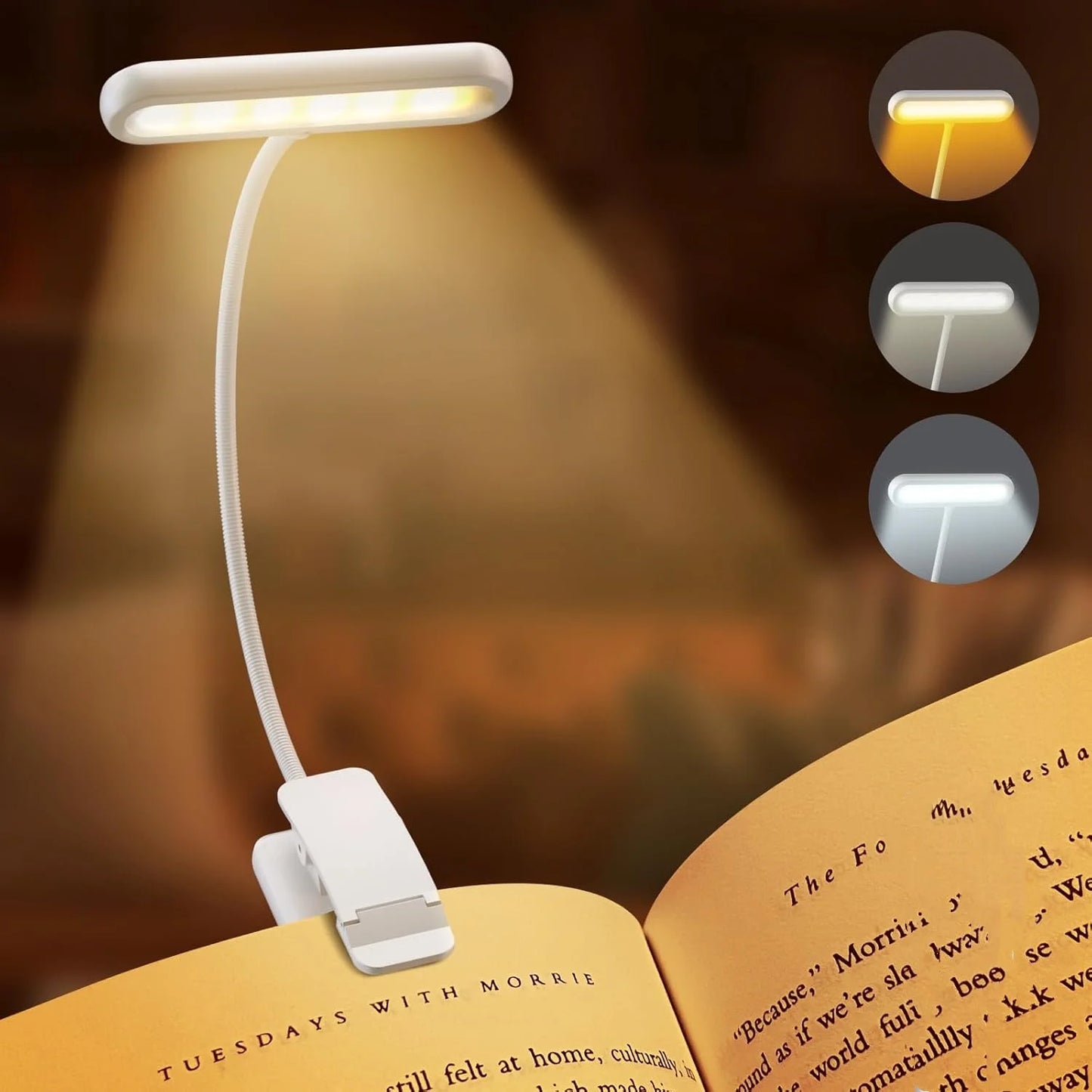Rechargeable Led Reading Light With Clip