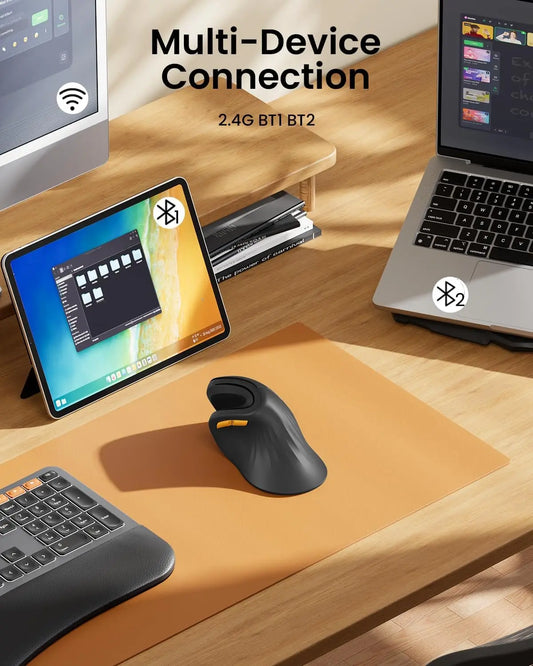 ProtoArc Ergonomic Mouse