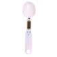 Digital Measuring Spoon 500g